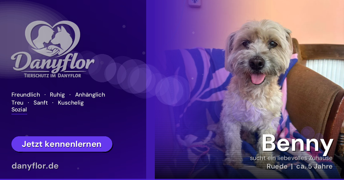 Facebook-Bild für Benny