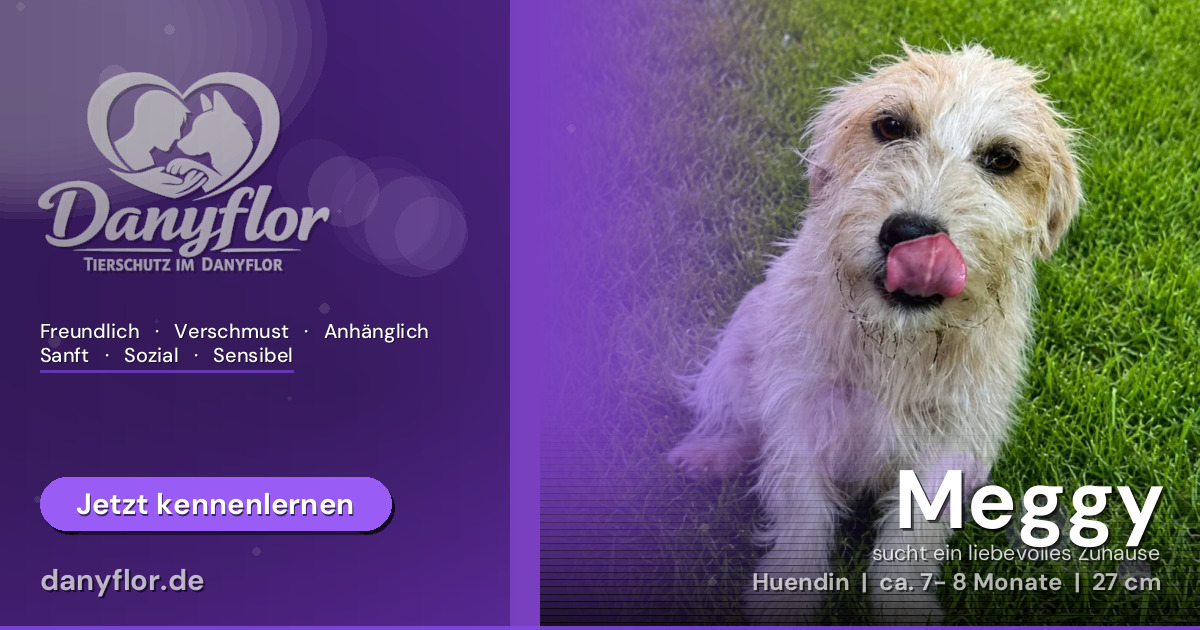 Facebook-Bild für Meggy