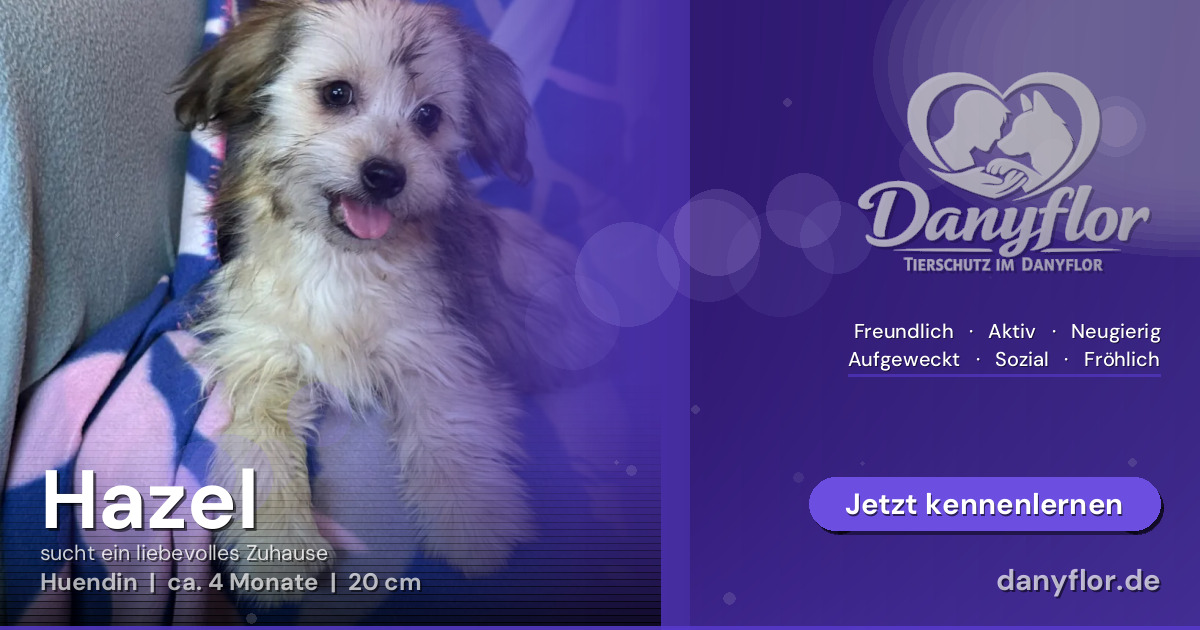 Facebook-Bild für Hazel