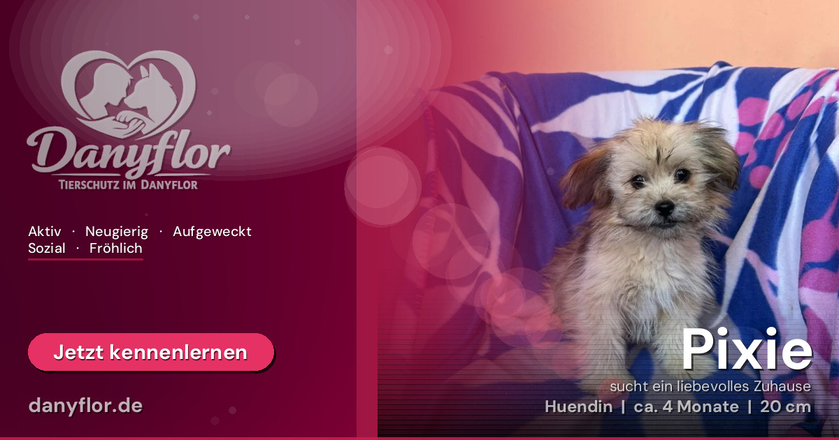Facebook-Bild für Pixie