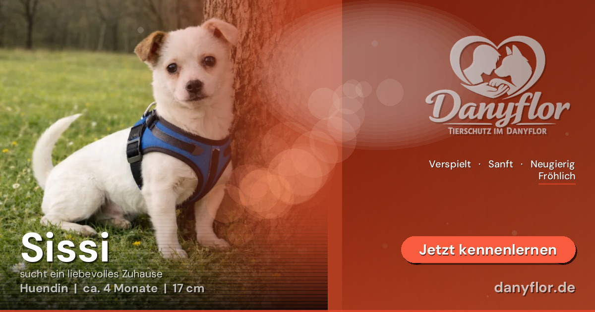 Facebook-Bild für Sissi