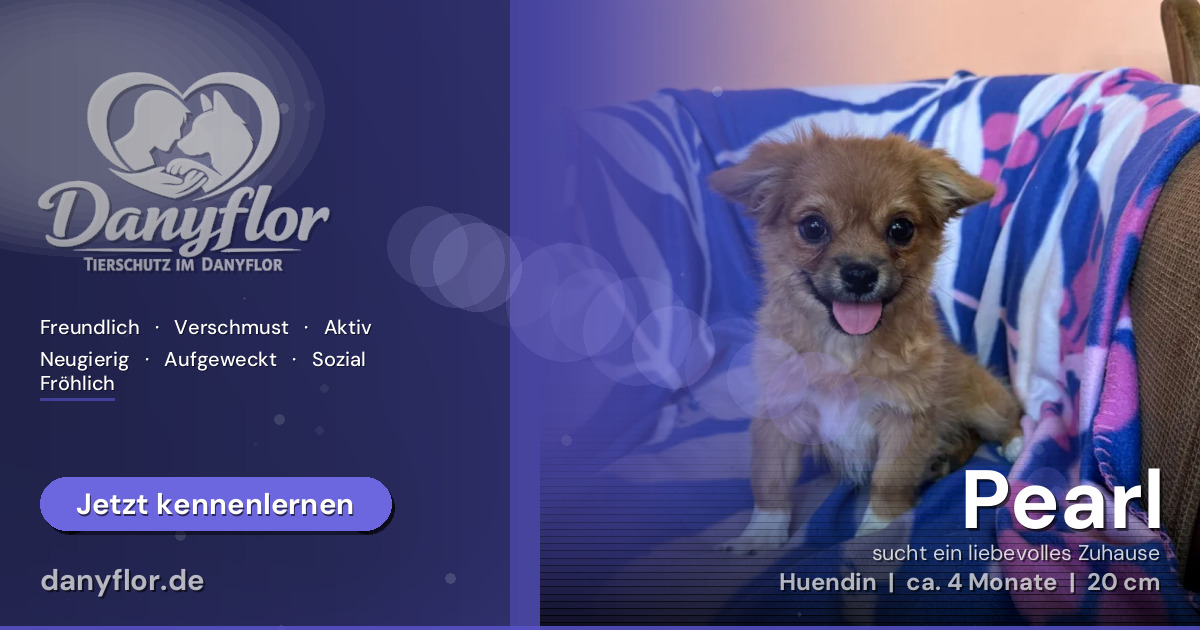 Facebook-Bild für Pearl