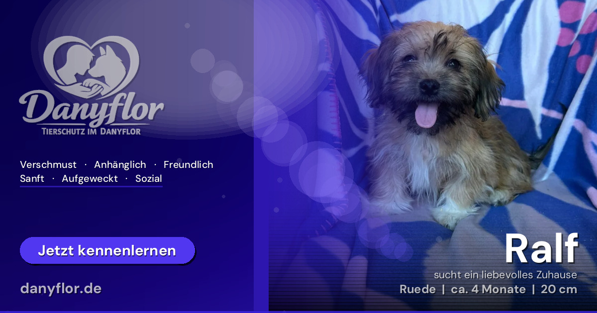 Facebook-Bild für Ralf