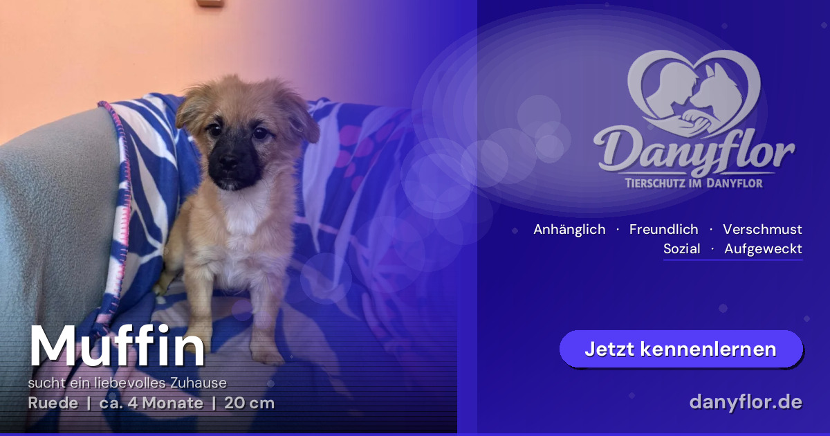 Facebook-Bild für Muffin