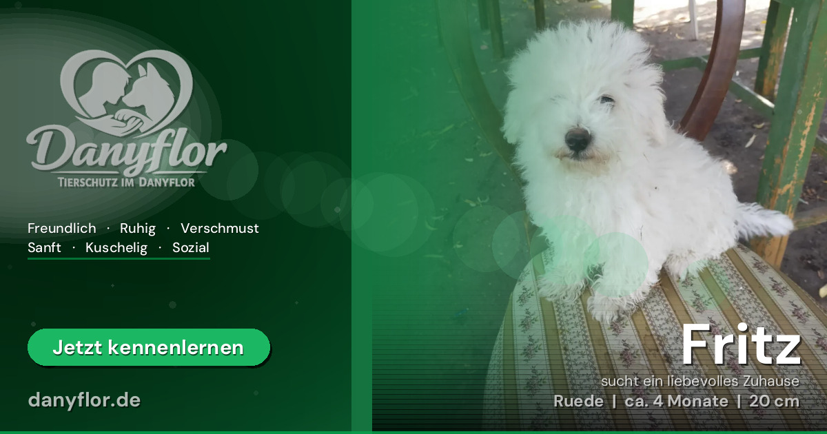 Facebook-Bild für Fritz