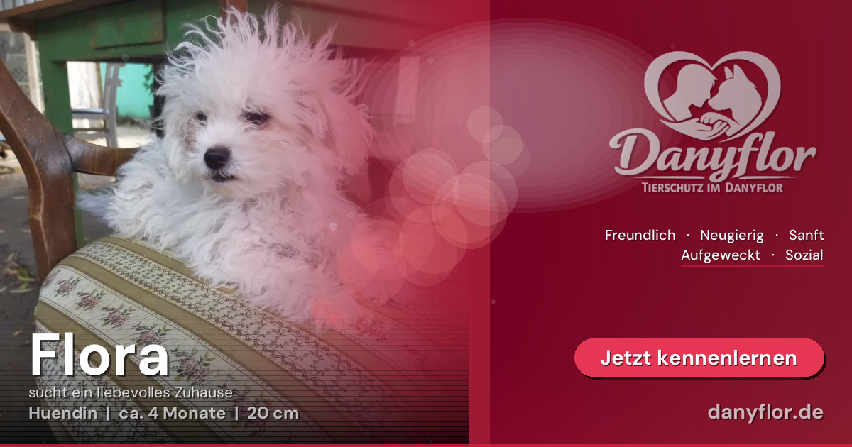 Facebook-Bild für Flora