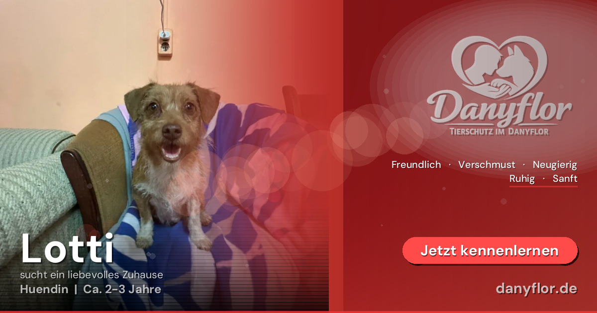 Facebook-Bild für Lotti