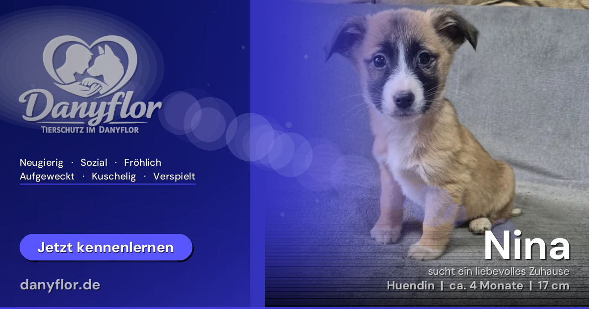 Facebook-Bild für Nina