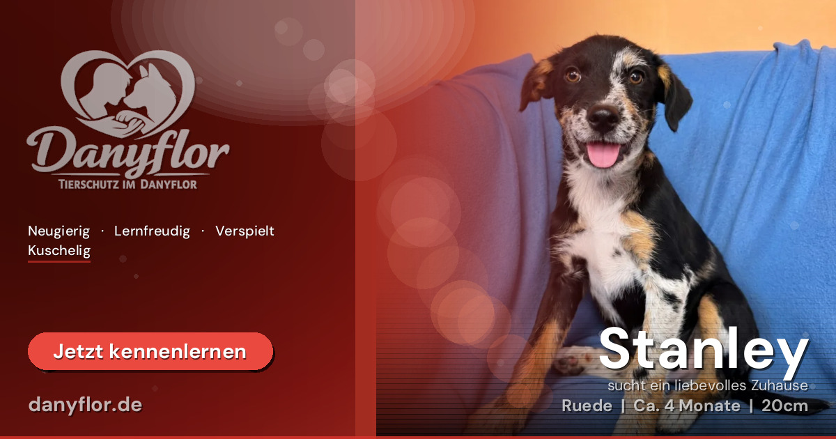 Facebook-Bild für Stanley