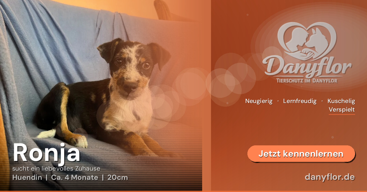 Facebook-Bild für Ronja
