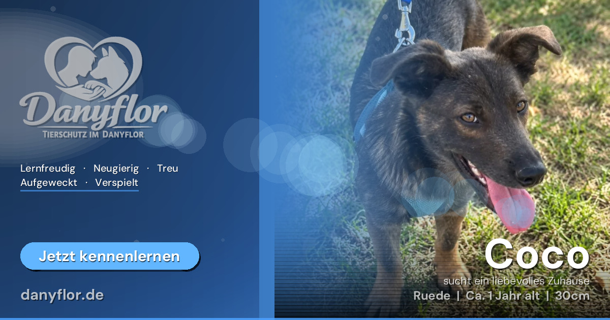 Facebook-Bild für Coco