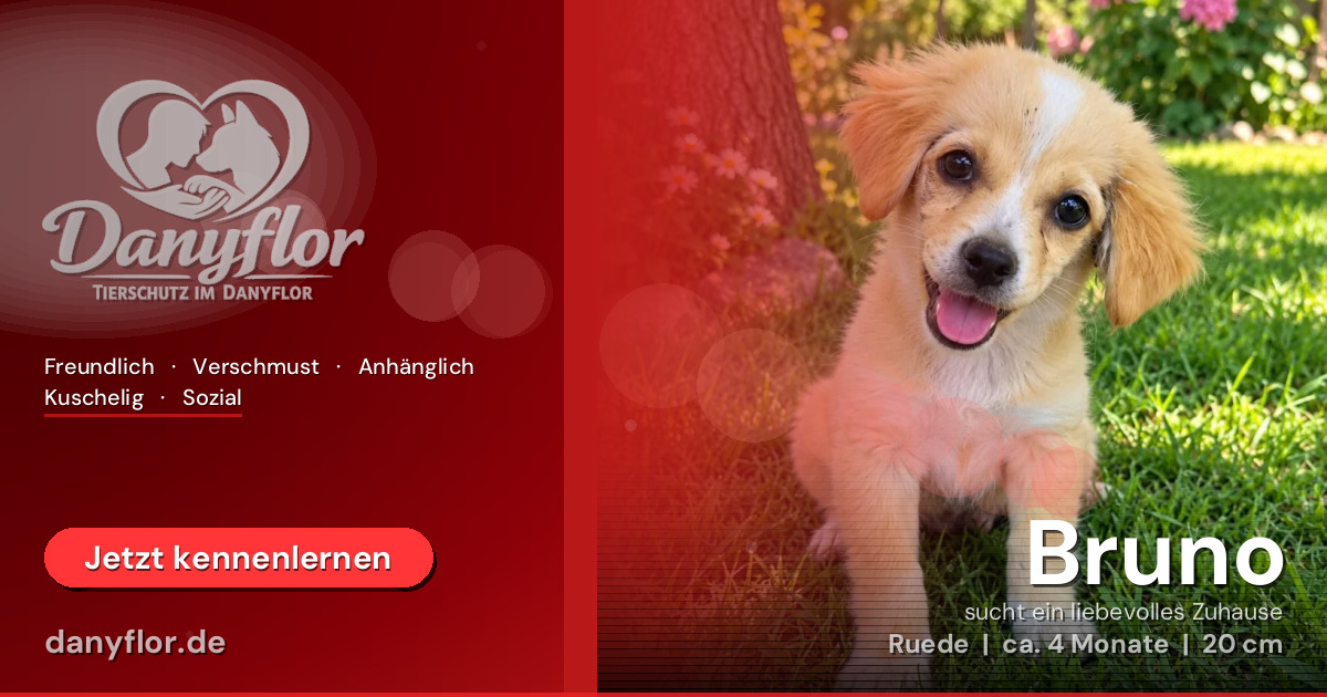 Facebook-Bild für Bruno