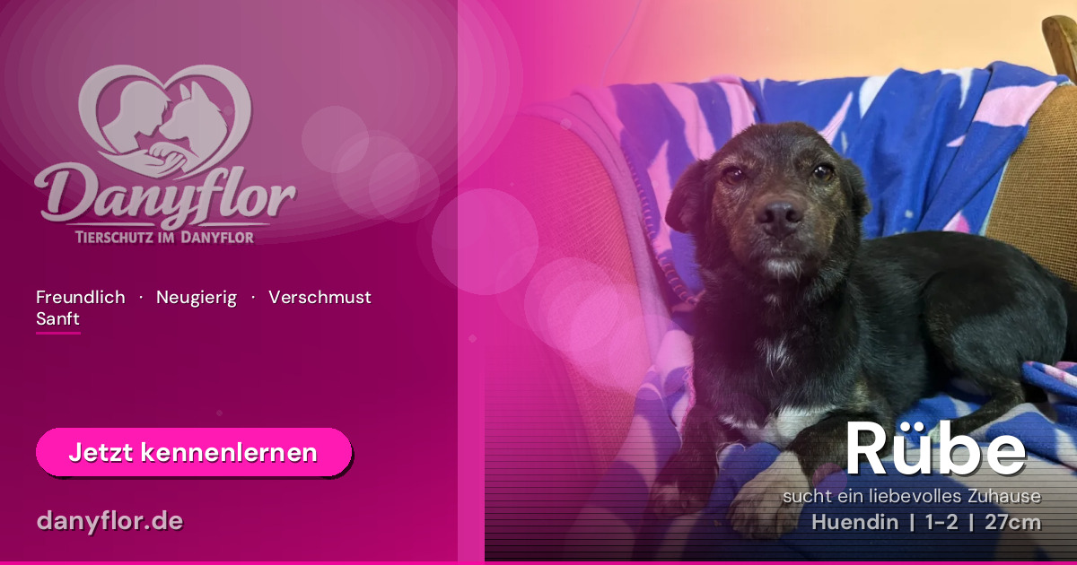 Facebook-Bild für Rübe 