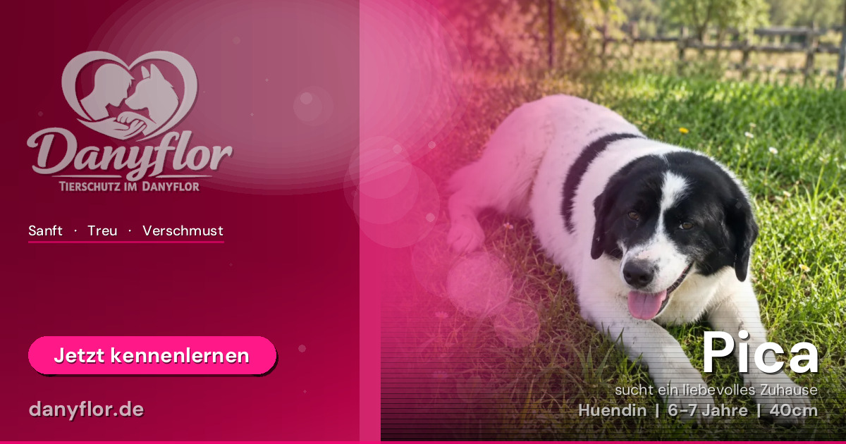 Facebook-Bild für Pica