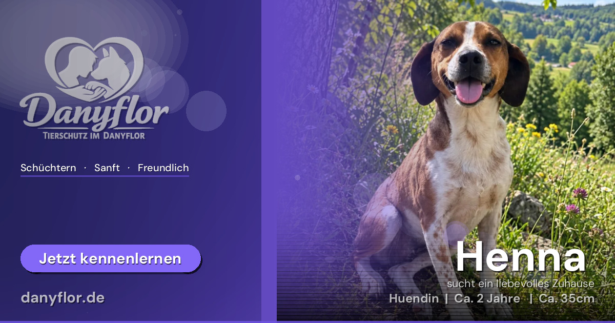 Facebook-Bild für Henna 