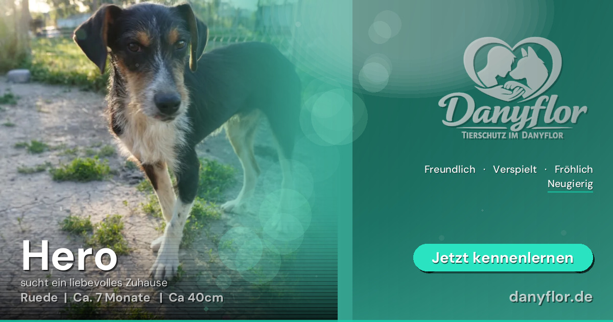 Facebook-Bild für Hero