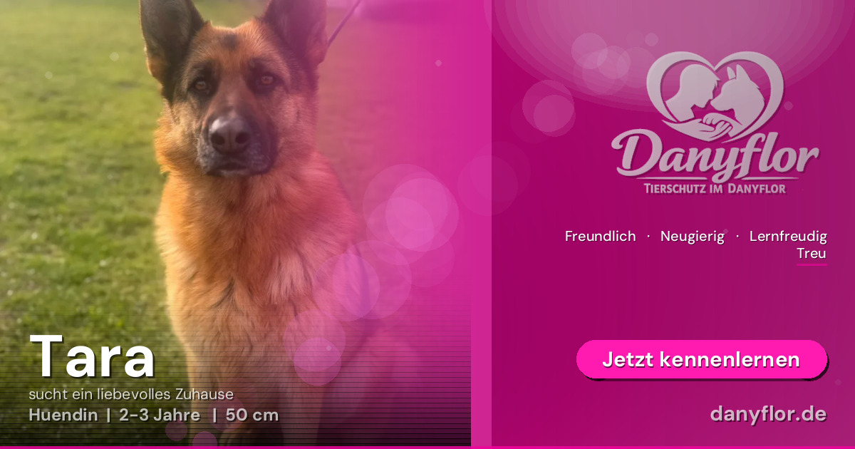 Facebook-Bild für Tara