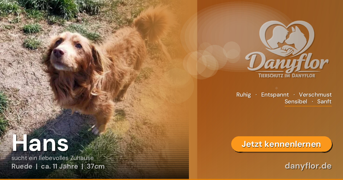 Facebook-Bild für Hans