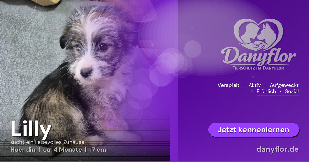 Facebook-Bild für Lilly