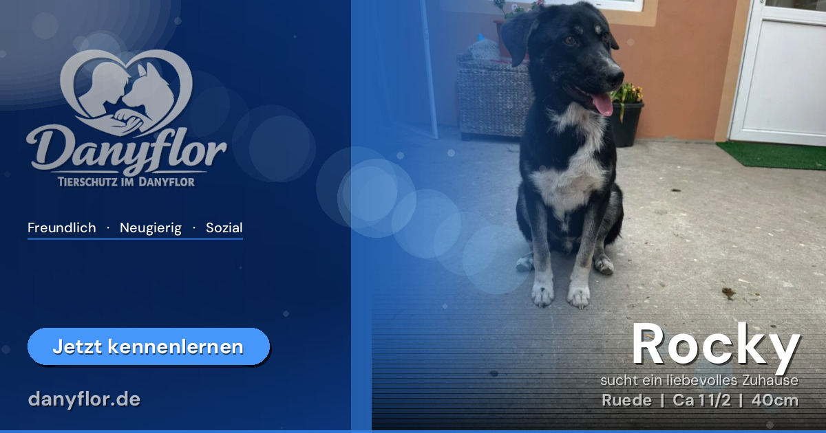Facebook-Bild für Rocky