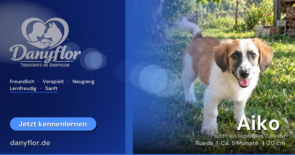 Facebook-Bild für Aiko 