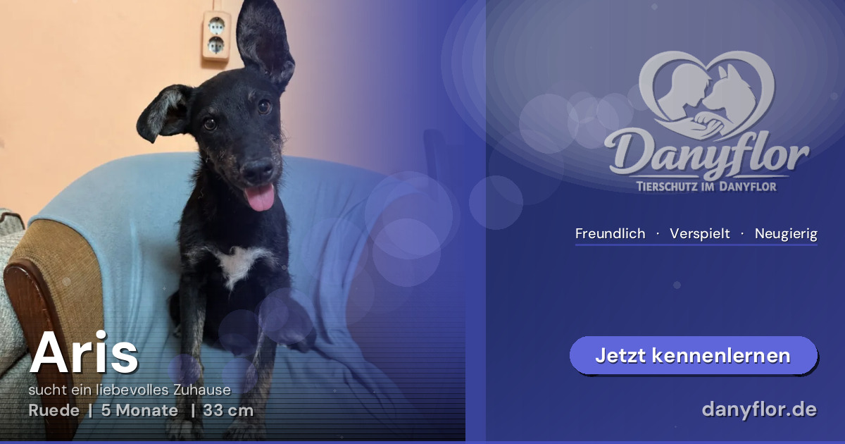 Facebook-Bild für Aris 