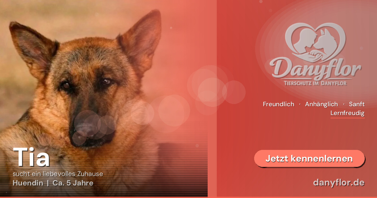 Facebook-Bild für Tia
