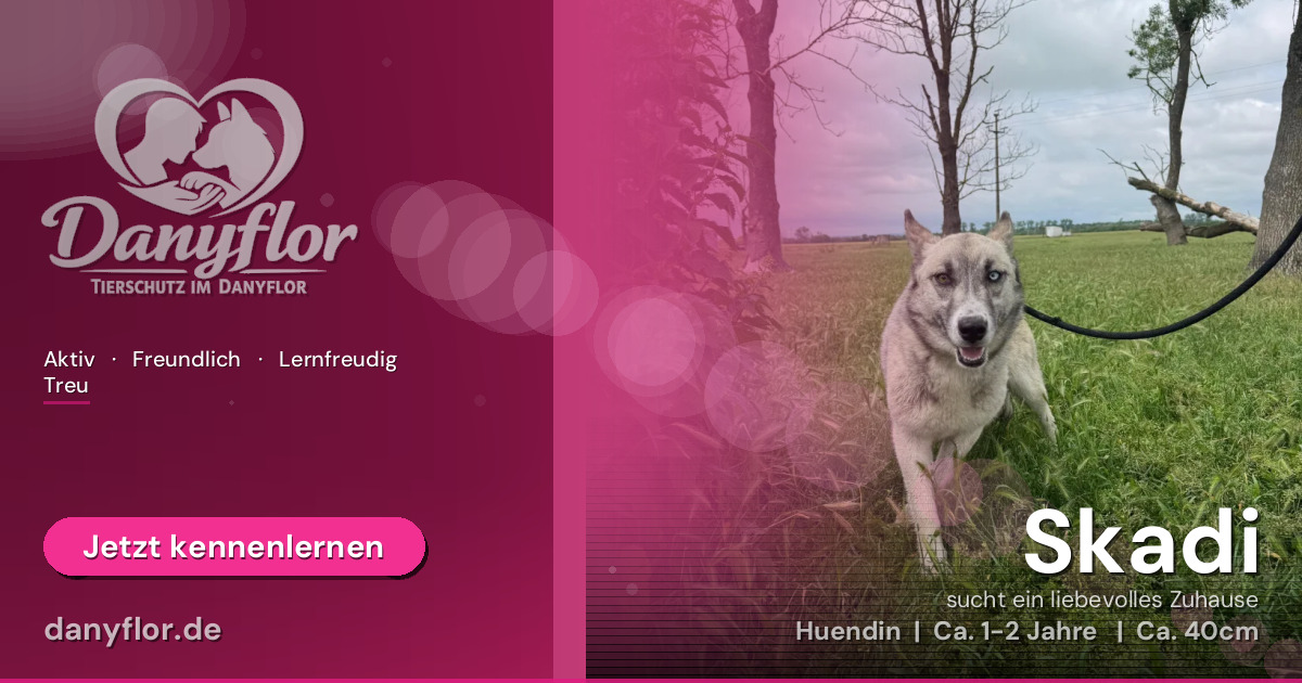 Facebook-Bild für Skadi