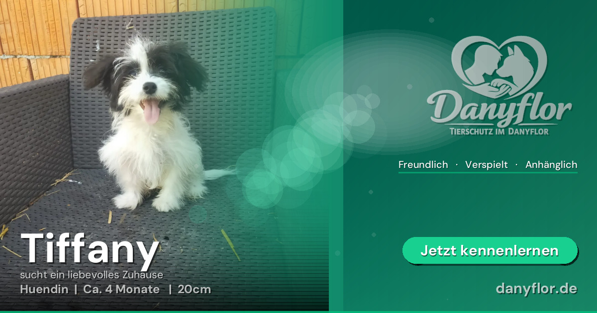 Facebook-Bild für Tiffany