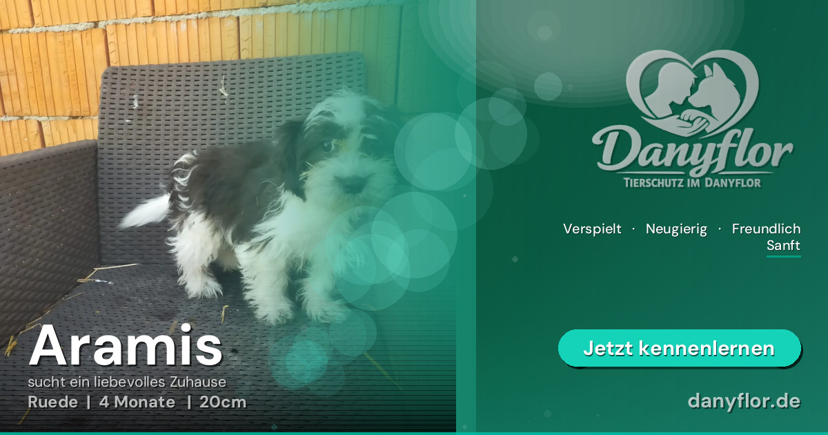 Facebook-Bild für Aramis