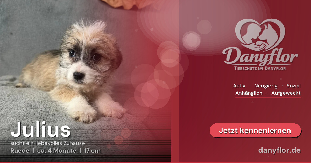 Facebook-Bild für Julius