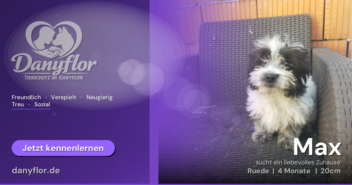 Facebook-Bild für Max