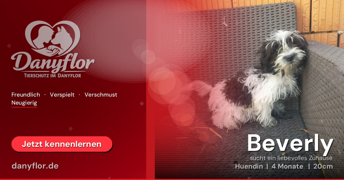 Facebook-Bild für Beverly
