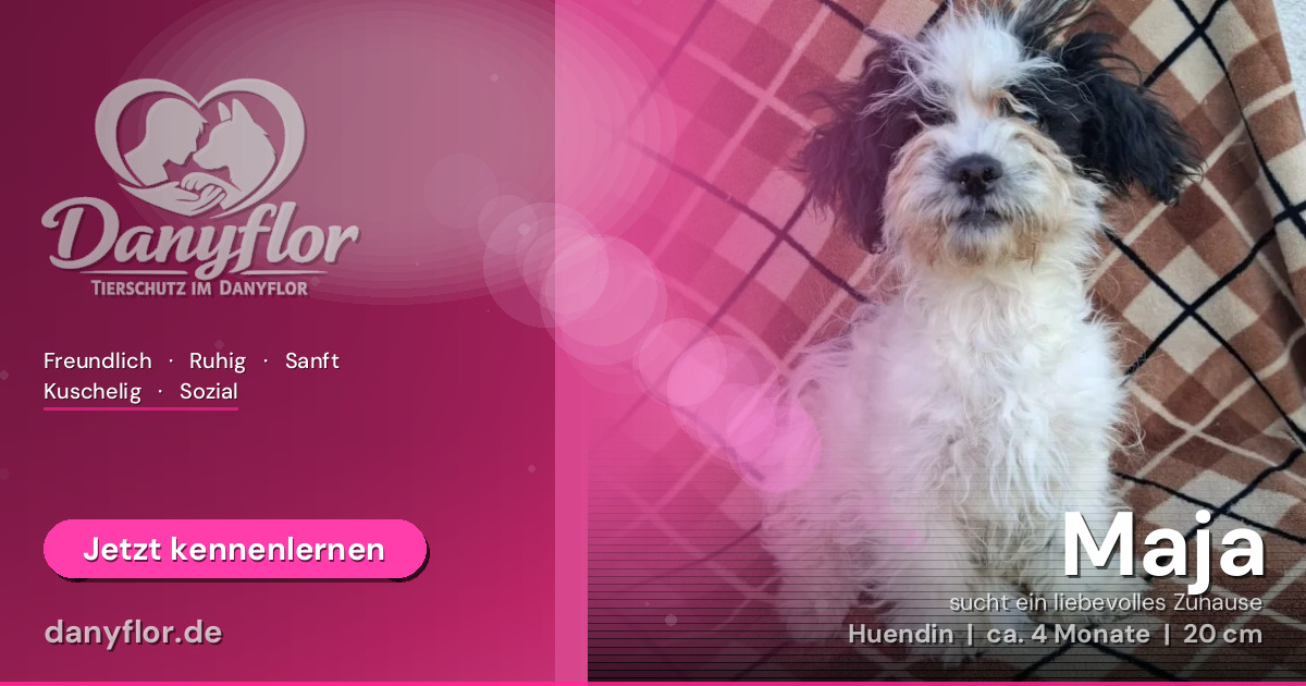 Facebook-Bild für Maja