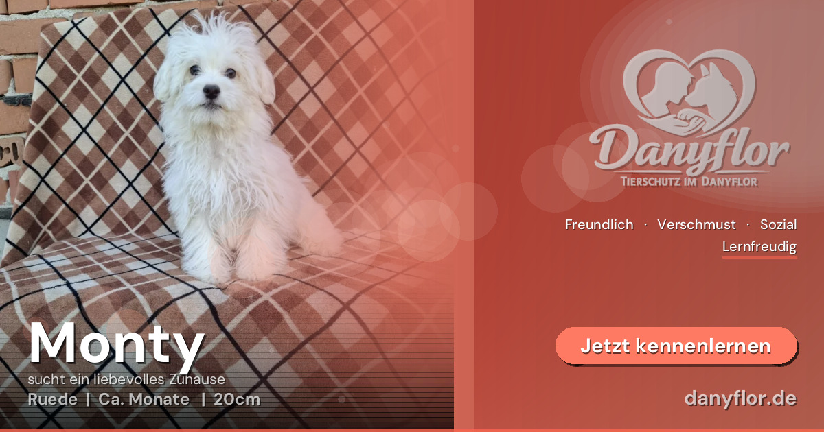Facebook-Bild für Monty