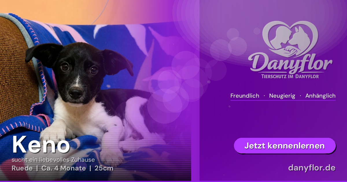 Facebook-Bild für Keno