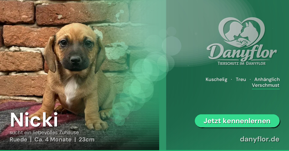 Facebook-Bild für Nicki