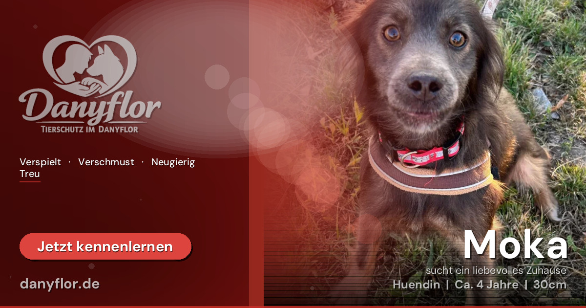 Facebook-Bild für Moka