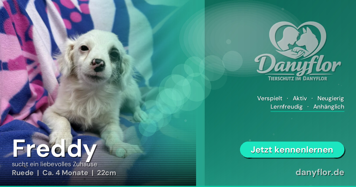 Facebook-Bild für Freddy
