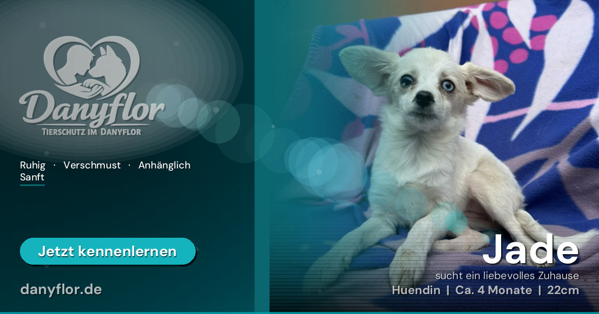 Facebook-Bild für Jade
