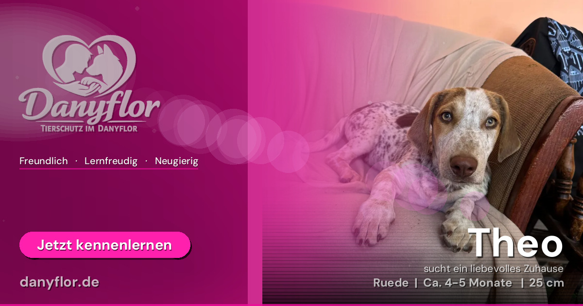 Facebook-Bild für Theo