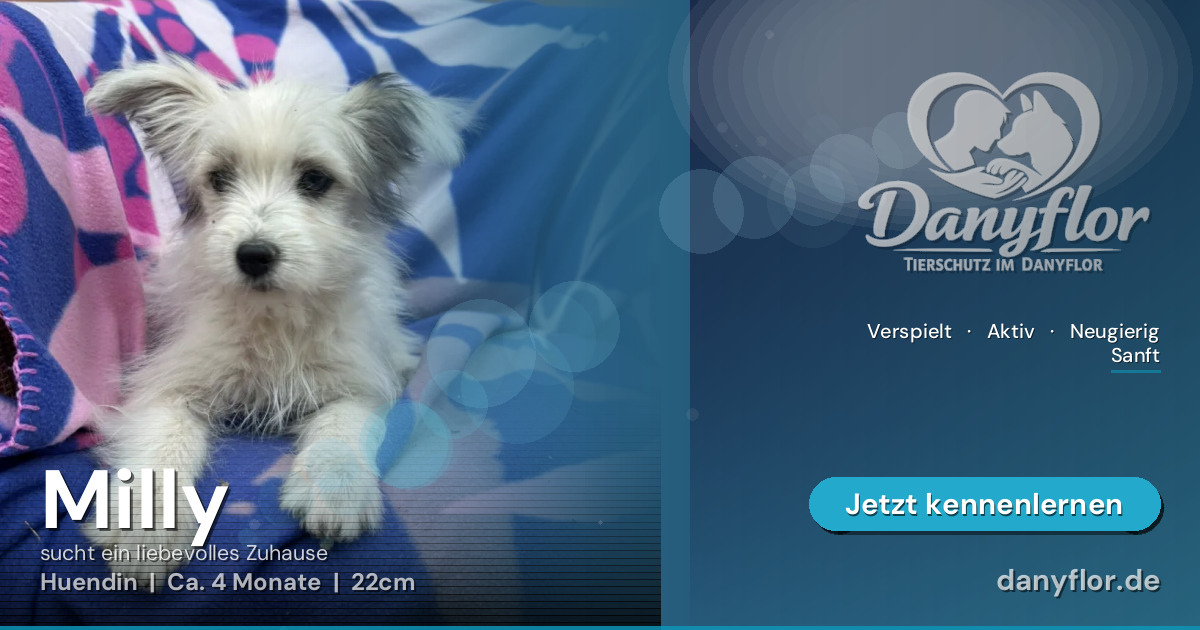 Facebook-Bild für Milly