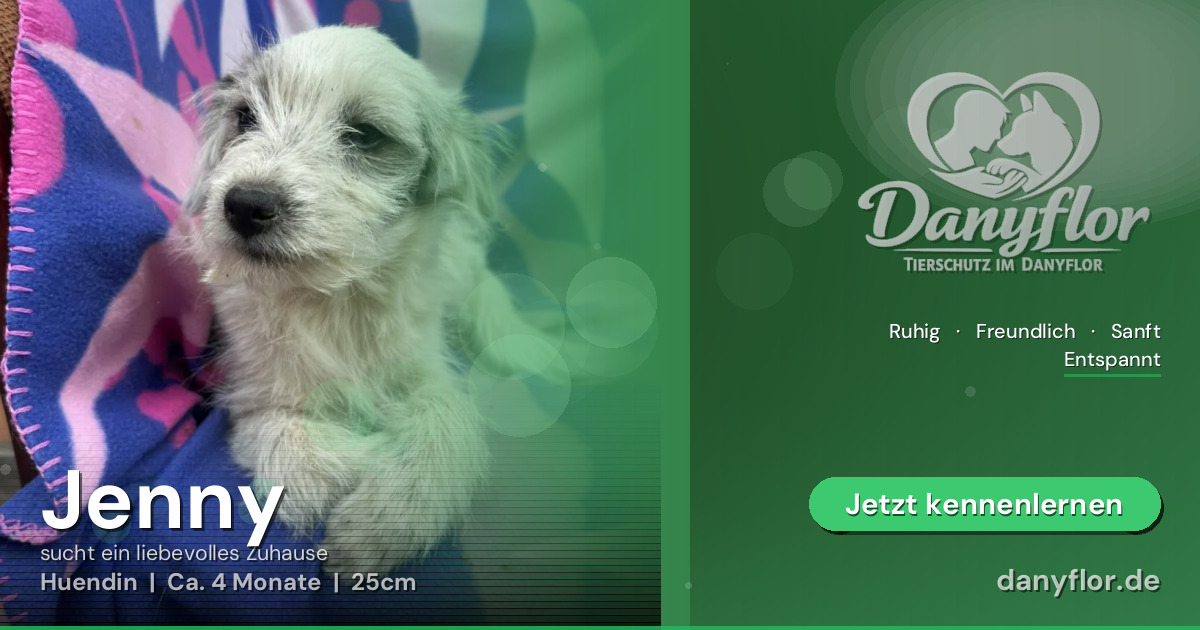 Facebook-Bild für Jenny
