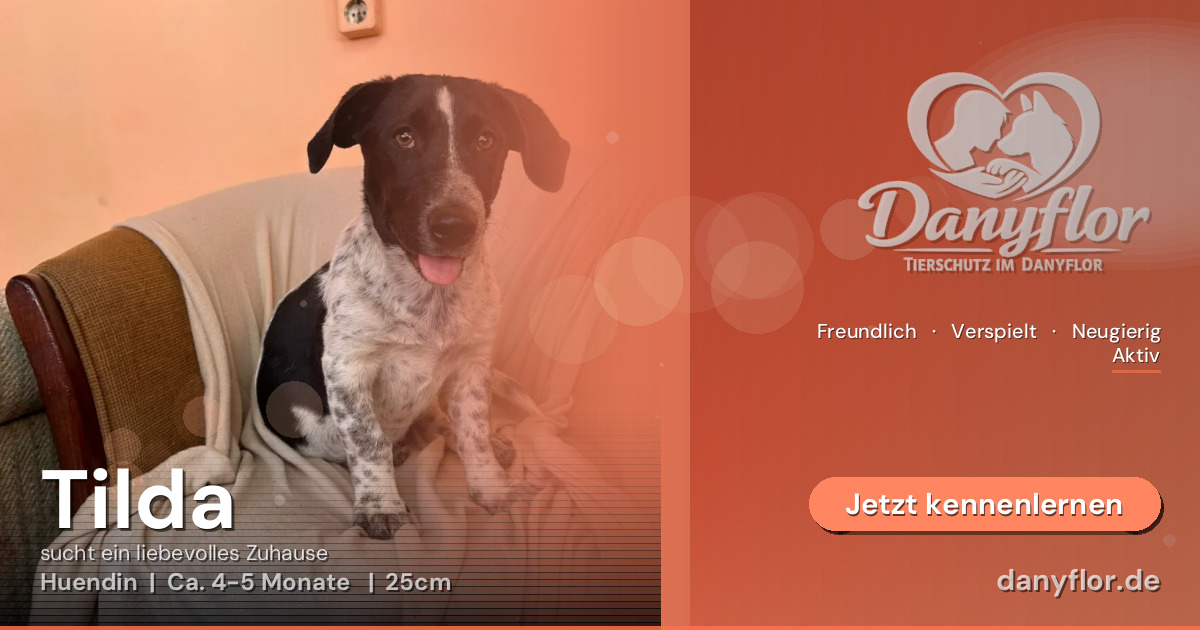 Facebook-Bild für Tilda