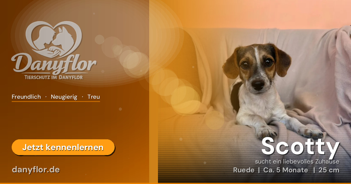 Facebook-Bild für Scotty