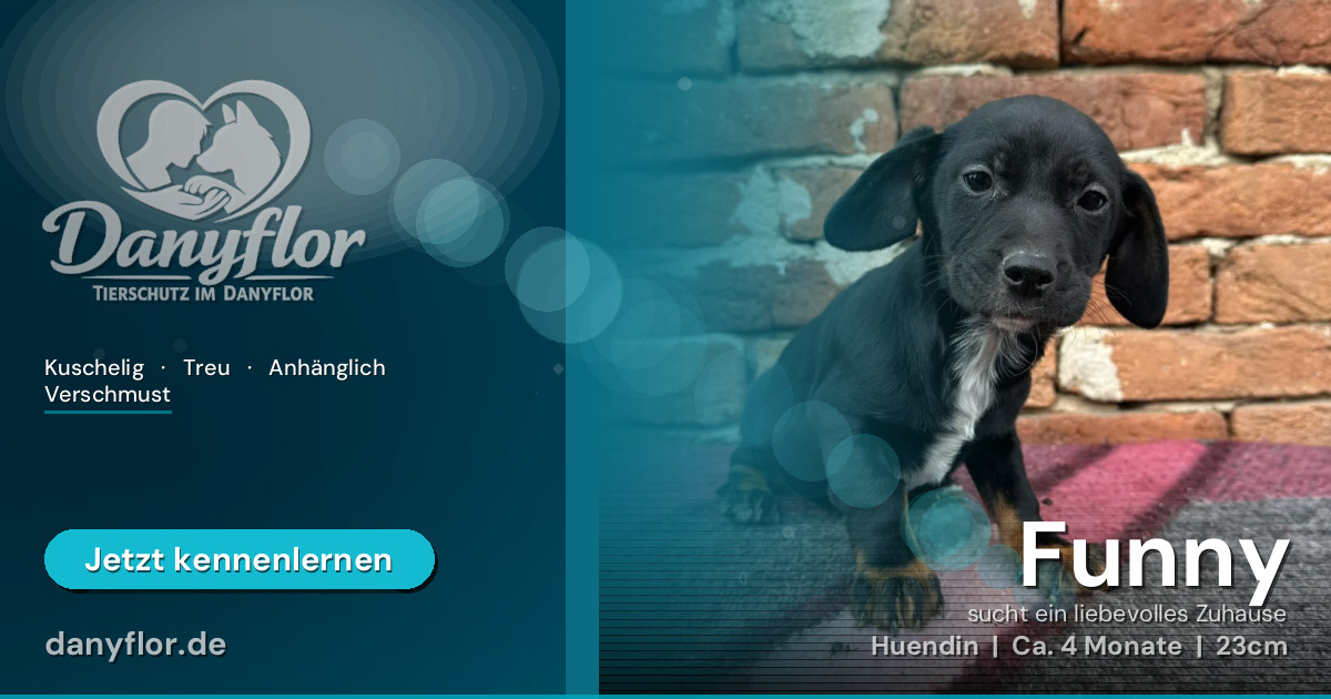 Facebook-Bild für Funny