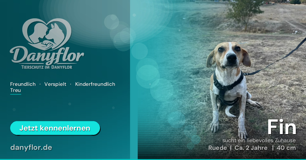 Facebook-Bild für Fin