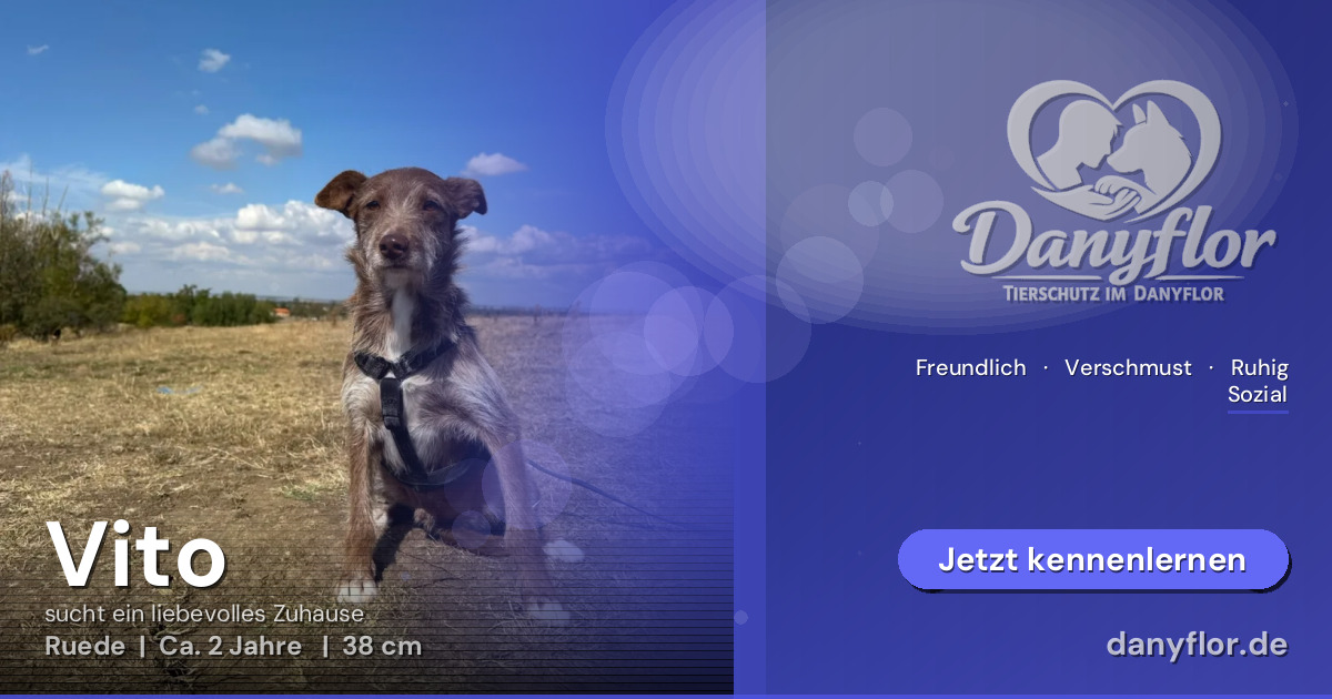 Facebook-Bild für Vito