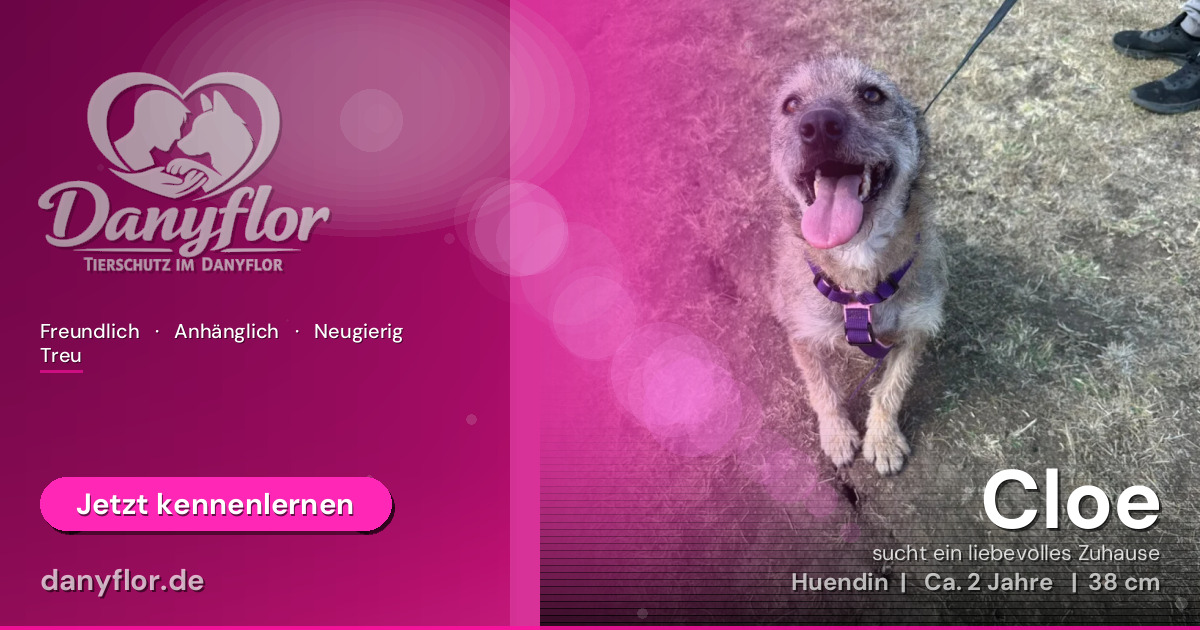 Facebook-Bild für Cloe
