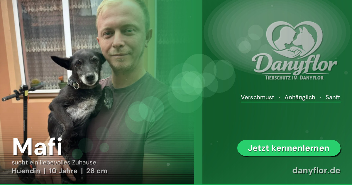 Facebook-Bild für Mafi